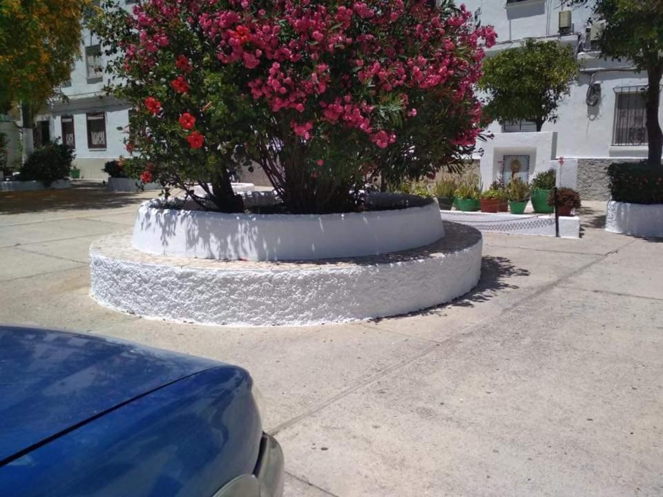 Vegandi Apartment Barbate Bagian luar foto